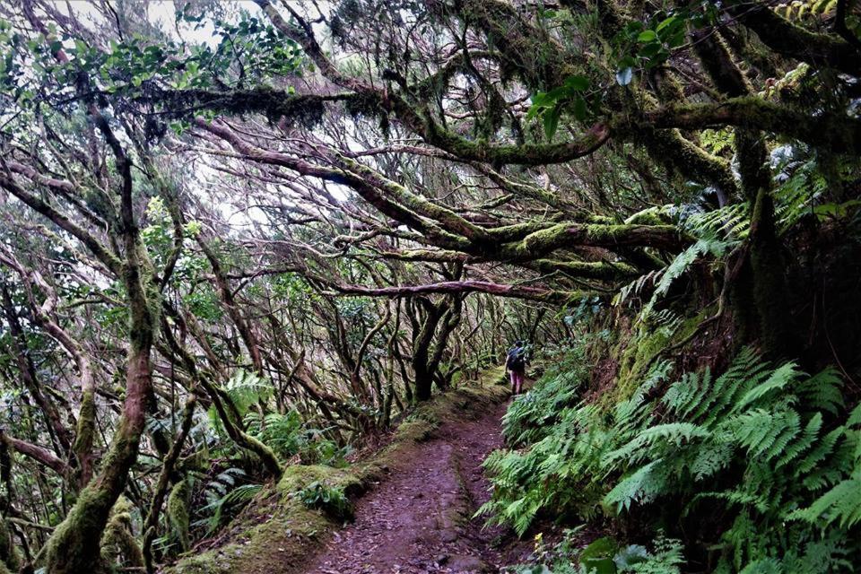 Casa Manolo Paraiso Beach Trail Almaciga エクステリア 写真