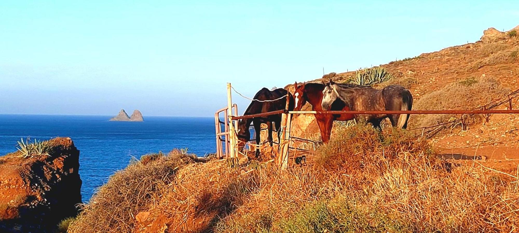 Casa Manolo Paraiso Beach Trail Almaciga エクステリア 写真