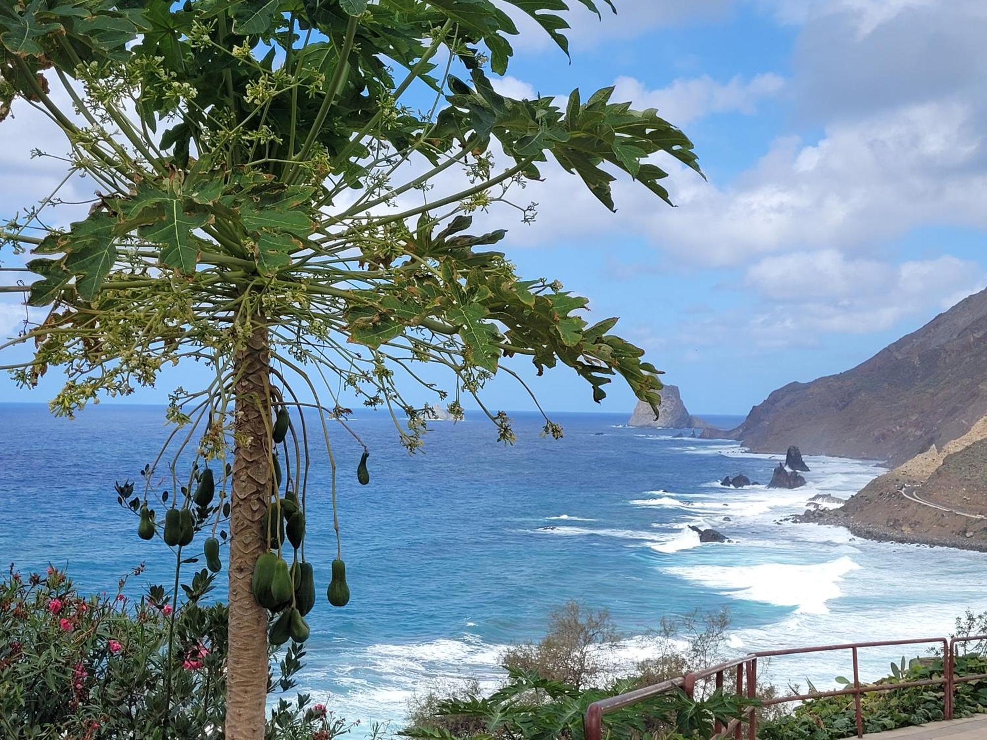 Casa Manolo Paraiso Beach Trail Almaciga エクステリア 写真